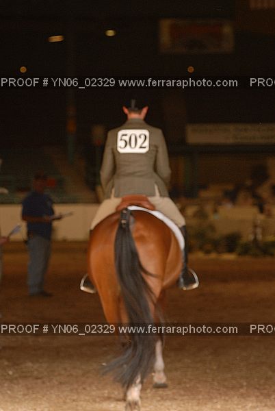 Proof Number YN06_02329