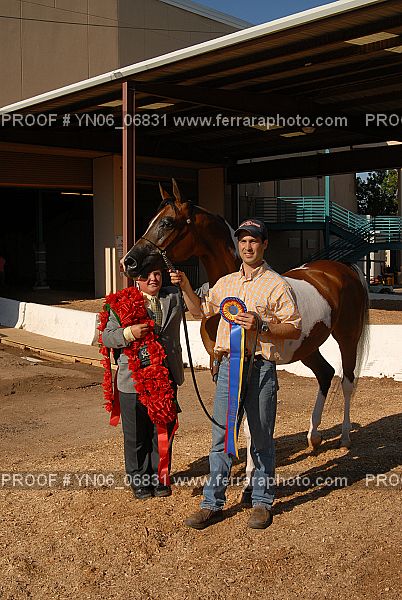 Proof Number YN06_06831