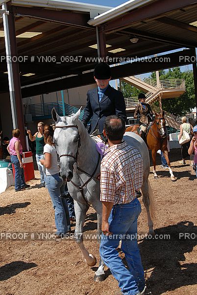 Proof Number YN06_06947