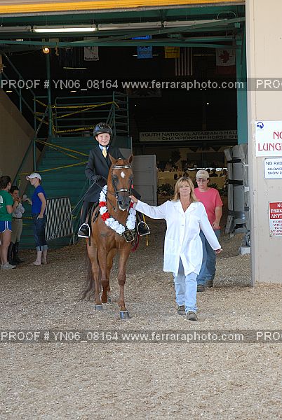 Proof Number YN06_08164