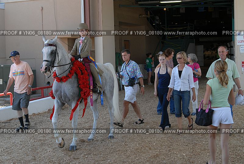 Proof Number YN06_08180