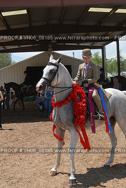 Proof Number YN06_08185