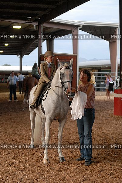 Proof Number YN06_09298