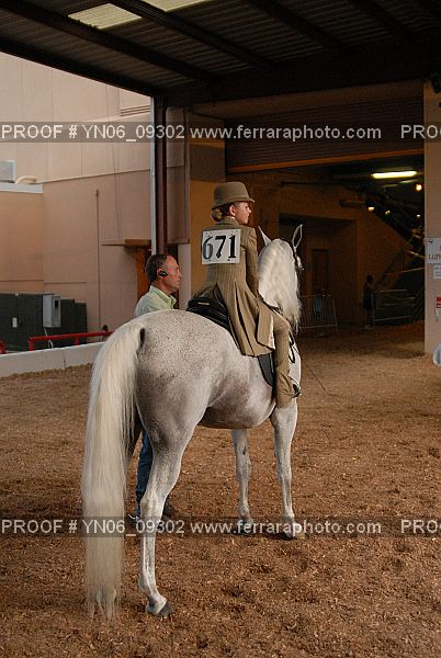 Proof Number YN06_09302