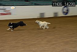 YN06_14298 thumbnail
