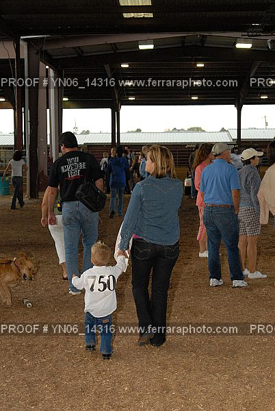 Proof Number YN06_14316
