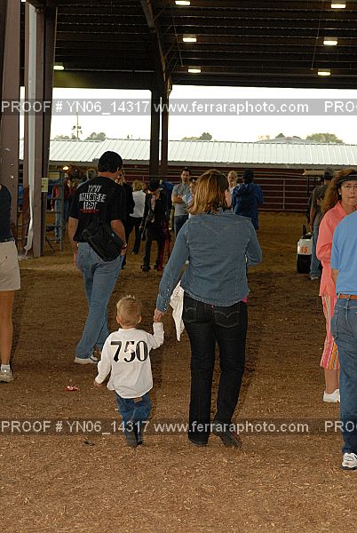 Proof Number YN06_14317