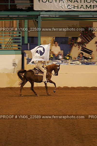 Proof Number YN06_22589