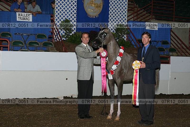 Proof Number 07r12_0051