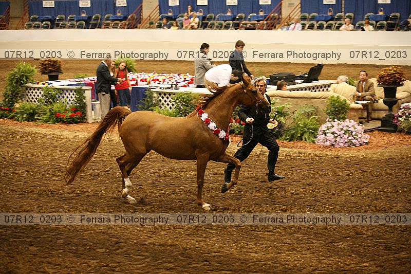 Proof Number 07r12_0203