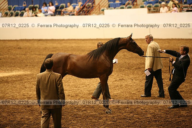 Proof Number 07r12_0225