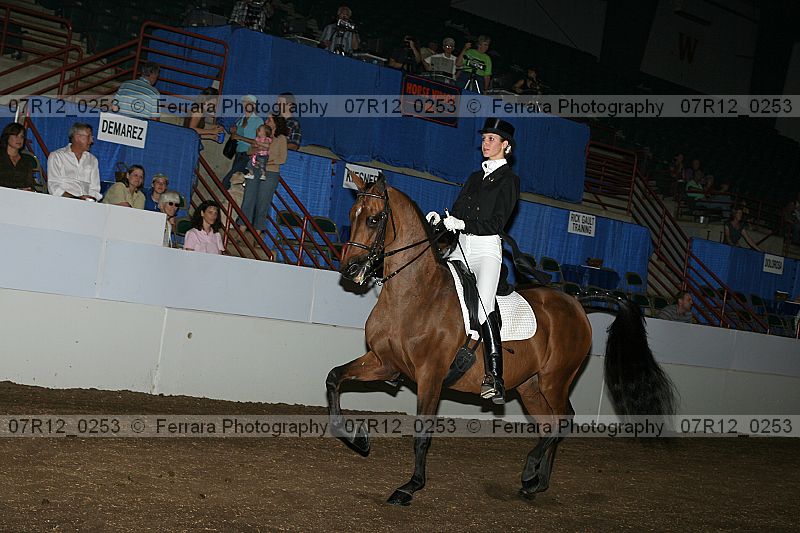 Proof Number 07r12_0253
