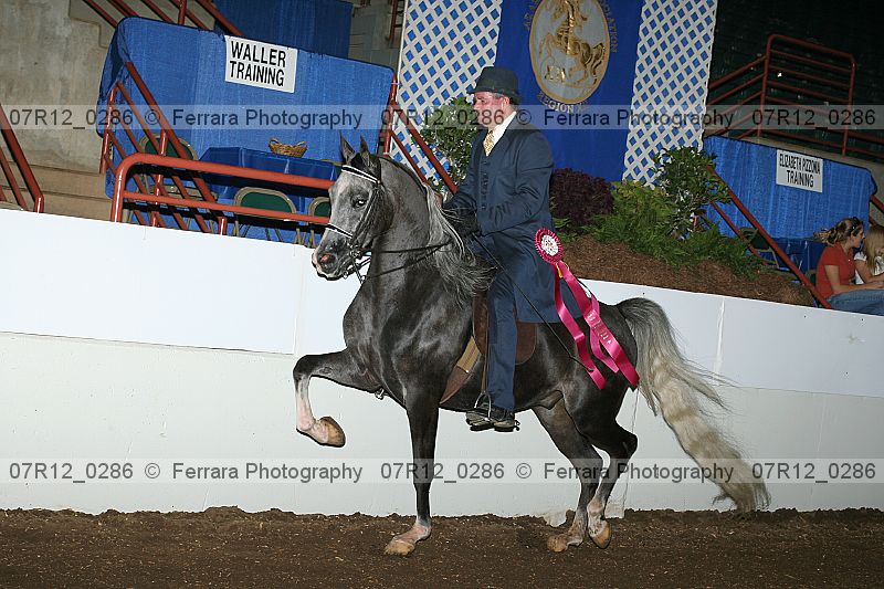 Proof Number 07r12_0286