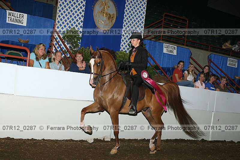 Proof Number 07r12_0287