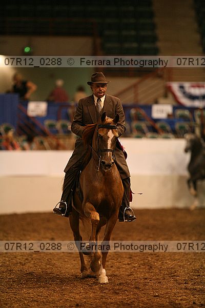 Proof Number 07r12_0288