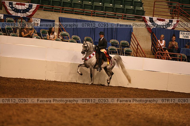 Proof Number 07r12_0293