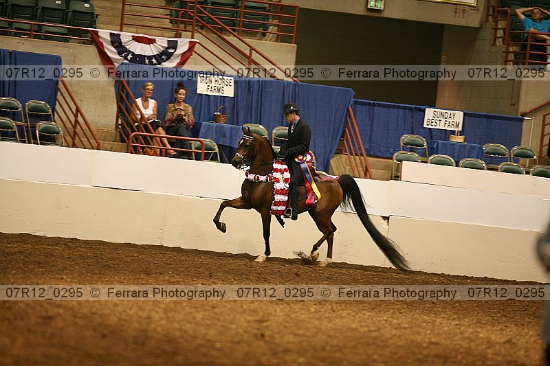 Proof Number 07r12_0295