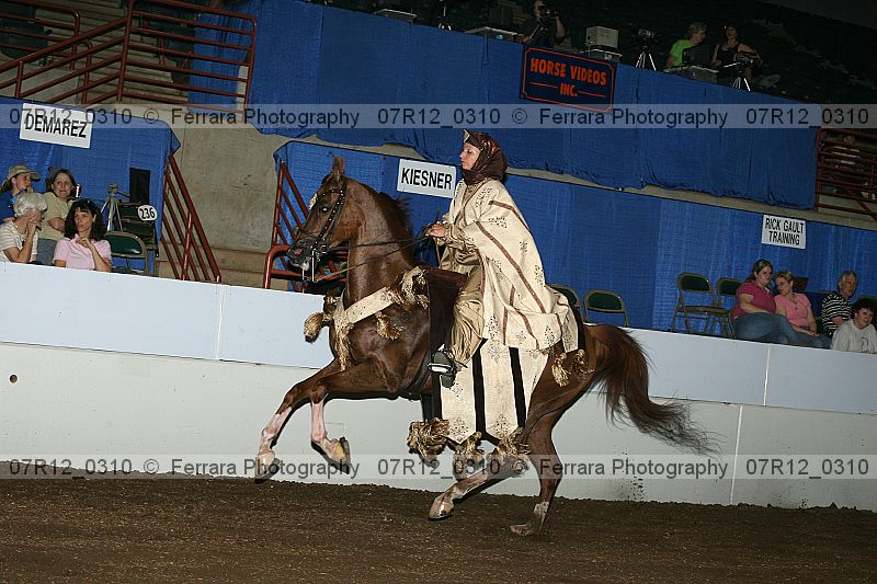 Proof Number 07r12_0310