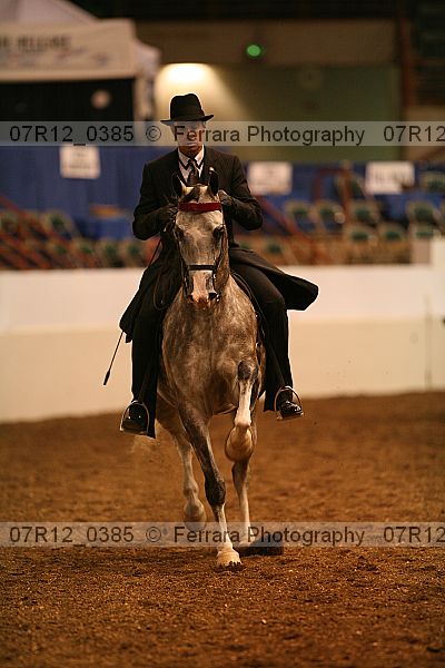 Proof Number 07r12_0385