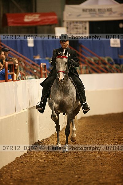 Proof Number 07r12_0387
