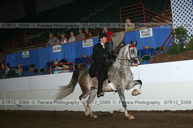 Proof Number 07r12_0389