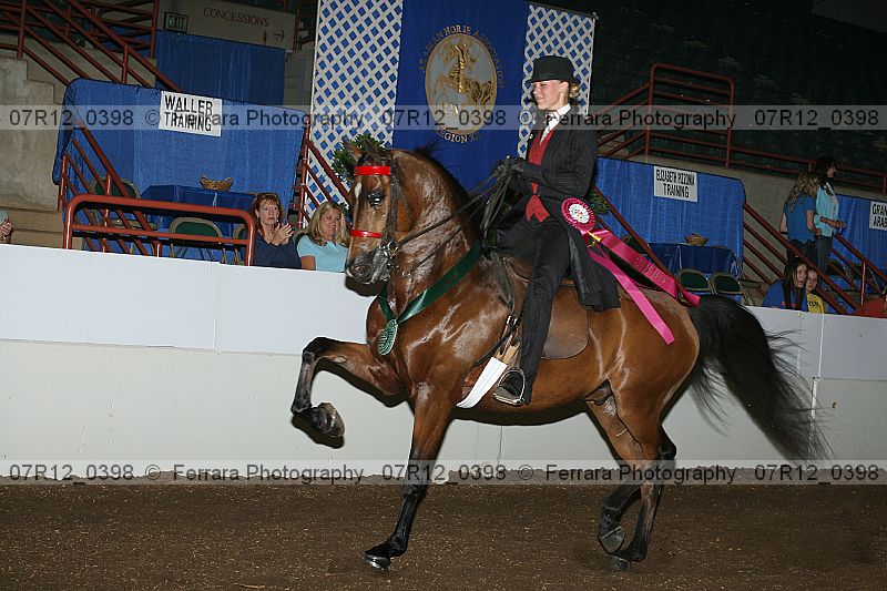 Proof Number 07r12_0398