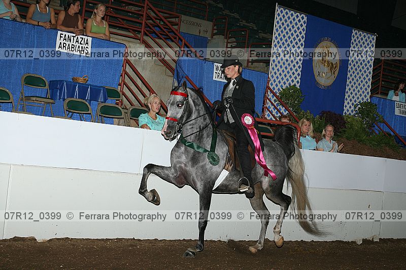 Proof Number 07r12_0399