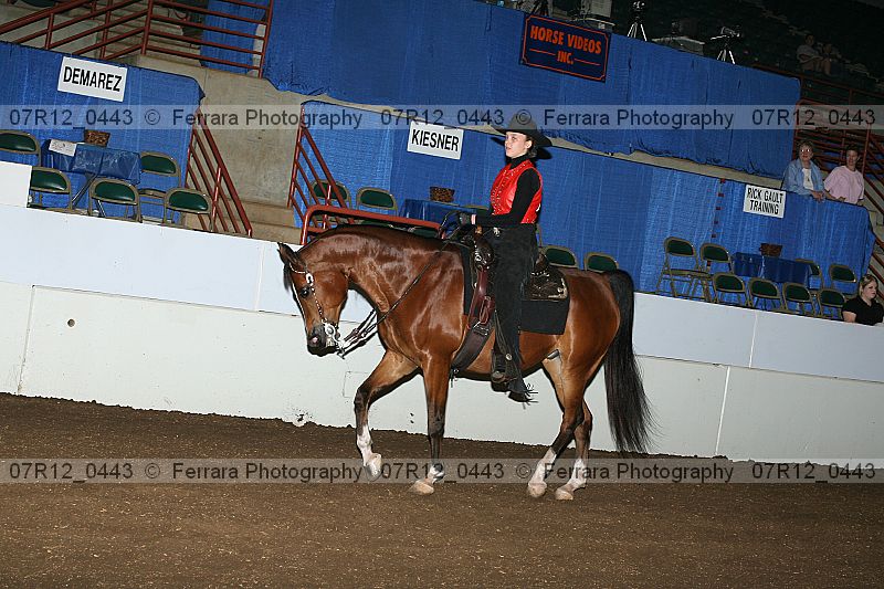 Proof Number 07r12_0443