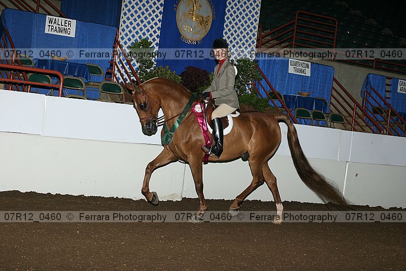 Proof Number 07r12_0460
