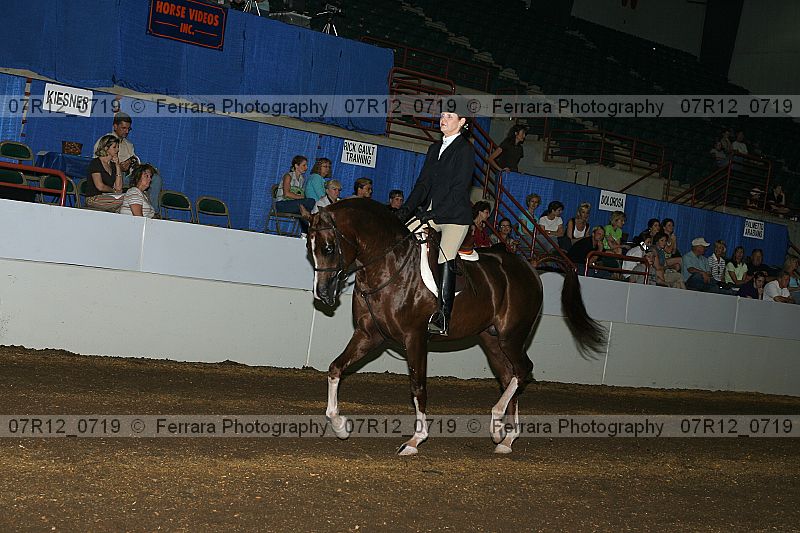 Proof Number 07r12_0719