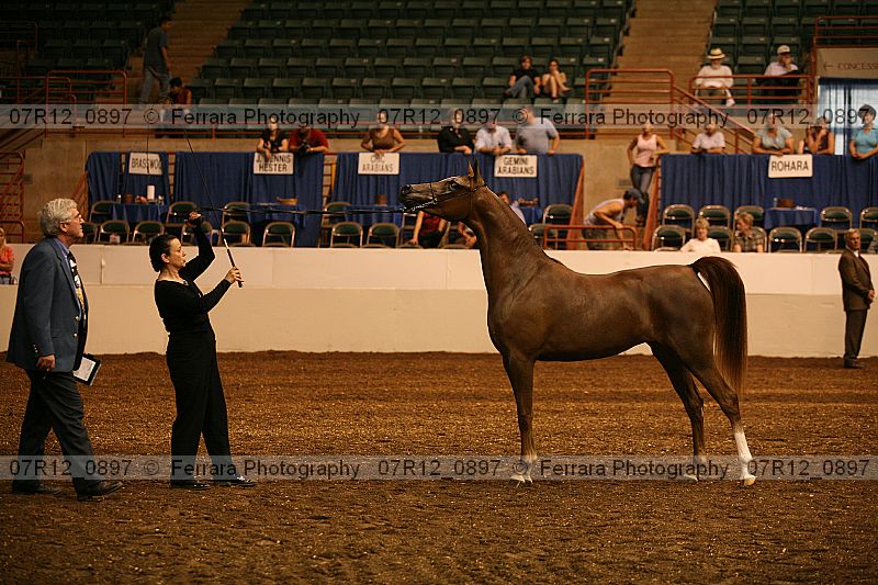 Proof Number 07r12_0897
