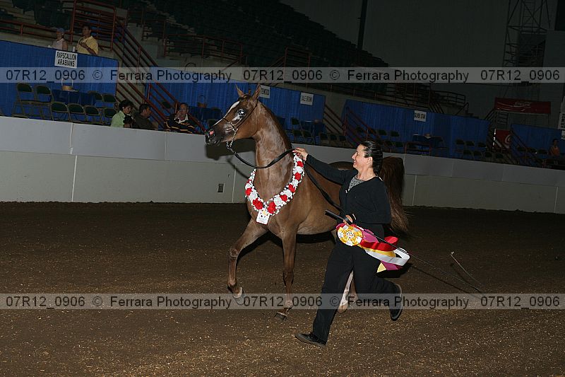 Proof Number 07r12_0906