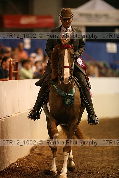 Proof Number 07r12_1002