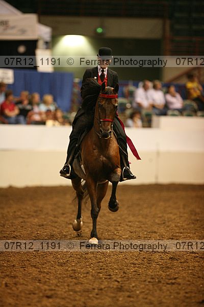 Proof Number 07r12_1191