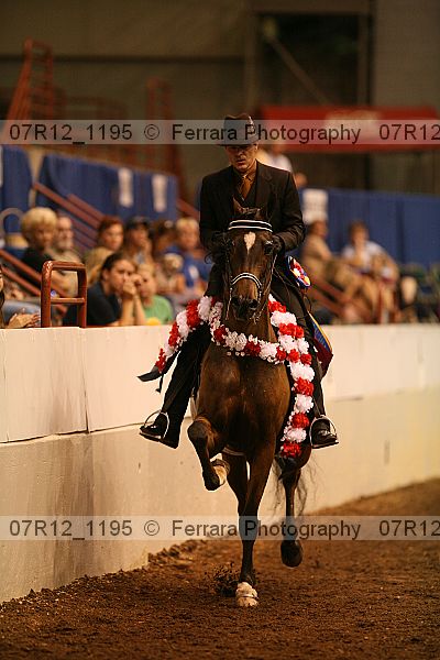 Proof Number 07r12_1195