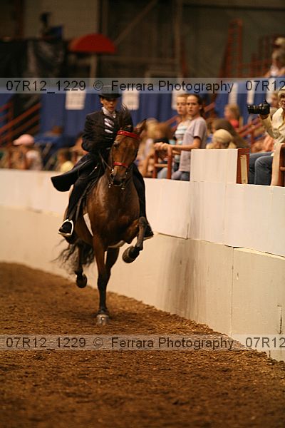 Proof Number 07r12_1229