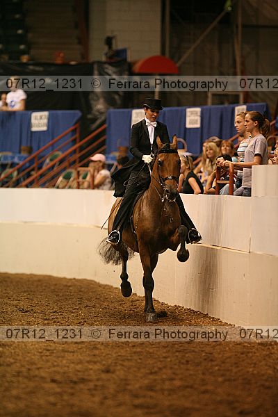 Proof Number 07r12_1231