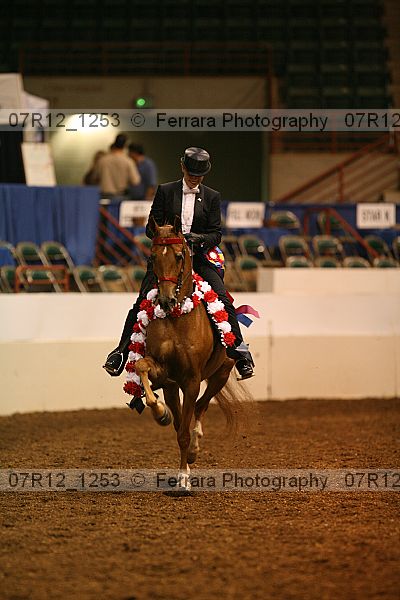 Proof Number 07r12_1253