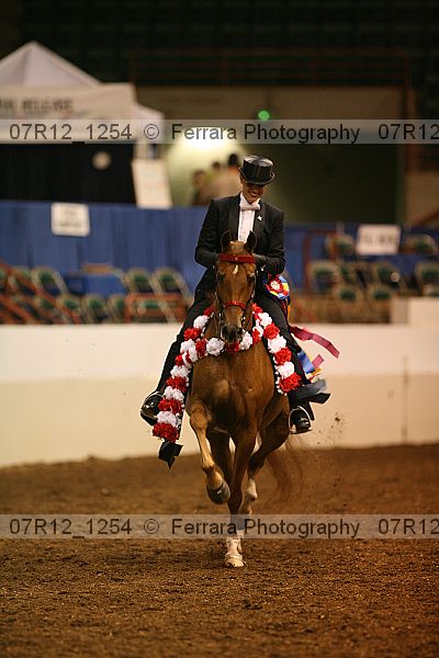 Proof Number 07r12_1254
