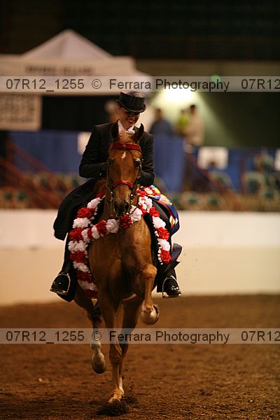Proof Number 07r12_1255