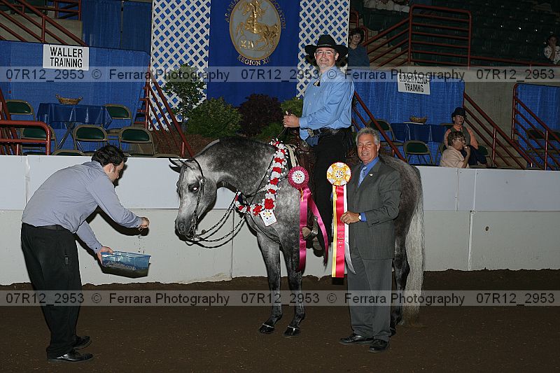Proof Number 07r12_2953