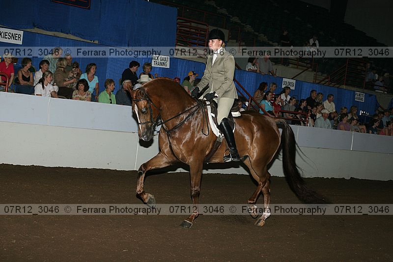 Proof Number 07r12_3046