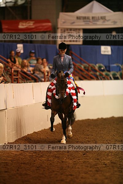 Proof Number 07r12_3101