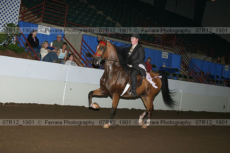 Proof Number 07r12_1901