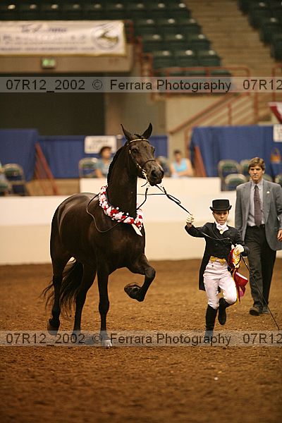Proof Number 07r12_2002