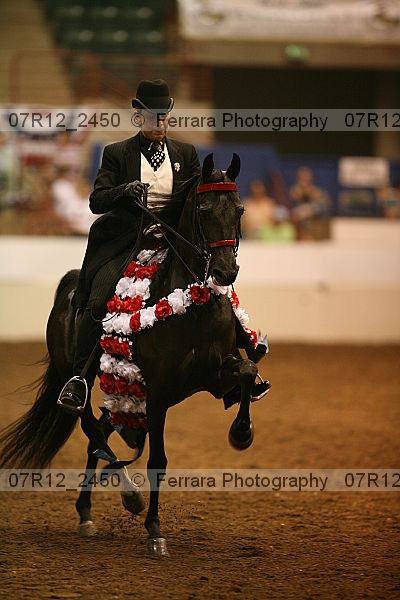 Proof Number 07r12_2450