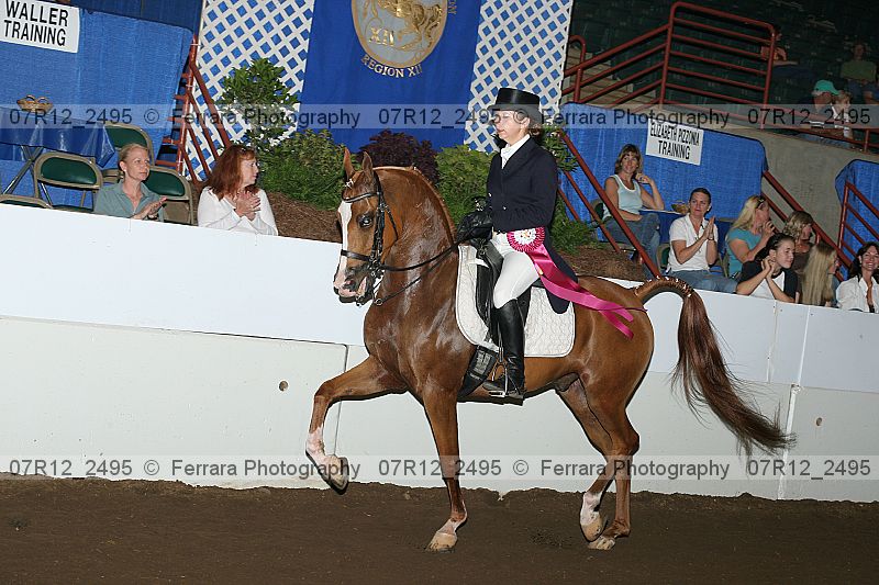Proof Number 07r12_2495