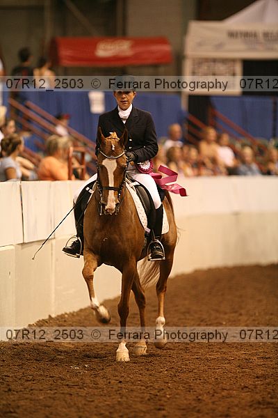 Proof Number 07r12_2503