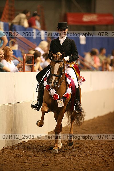 Proof Number 07r12_2506