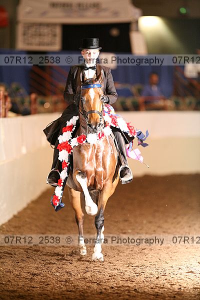 Proof Number 07r12_2538